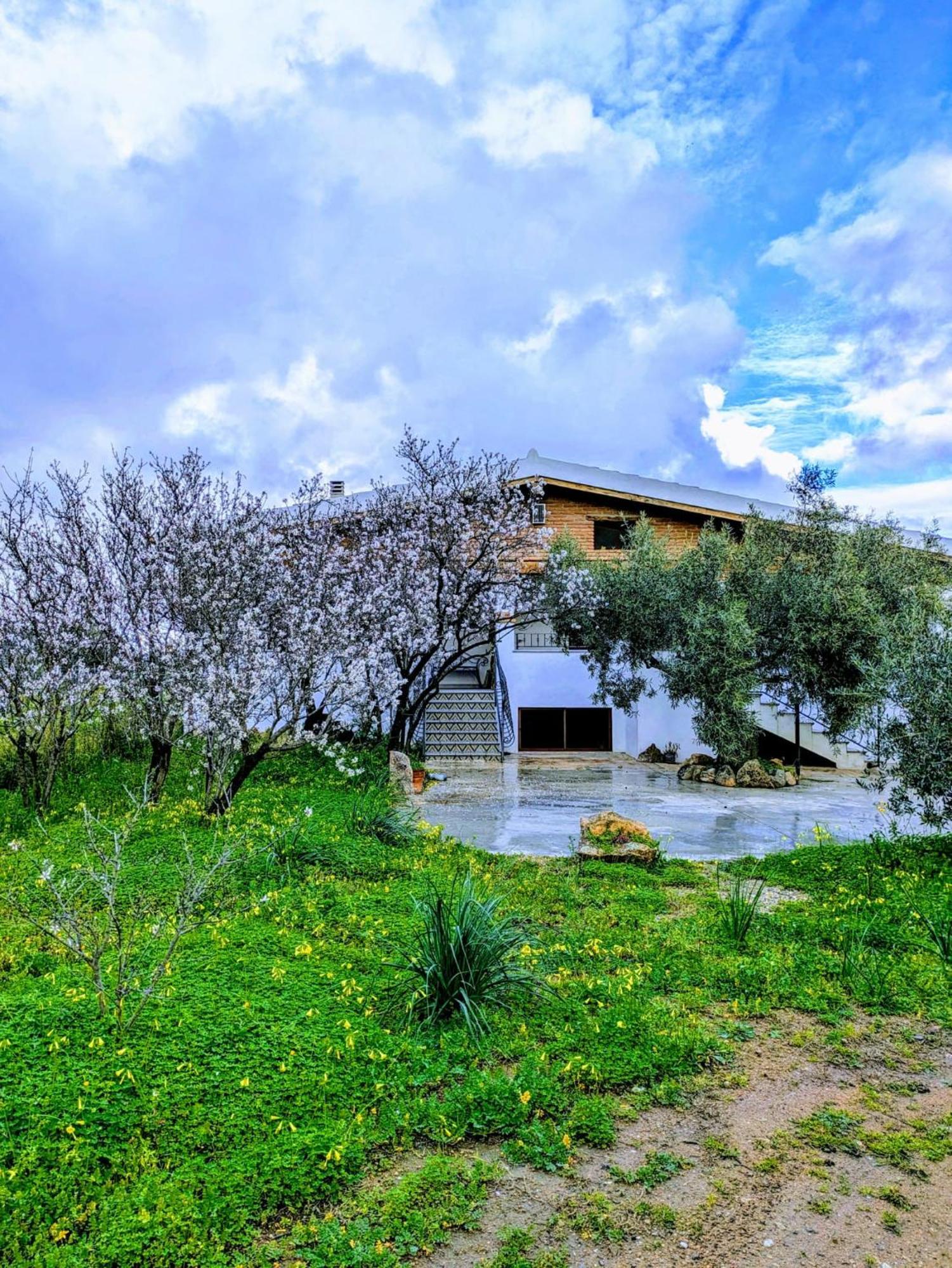 Agriturismo "Pirastreri" Siniscola Eksteriør billede