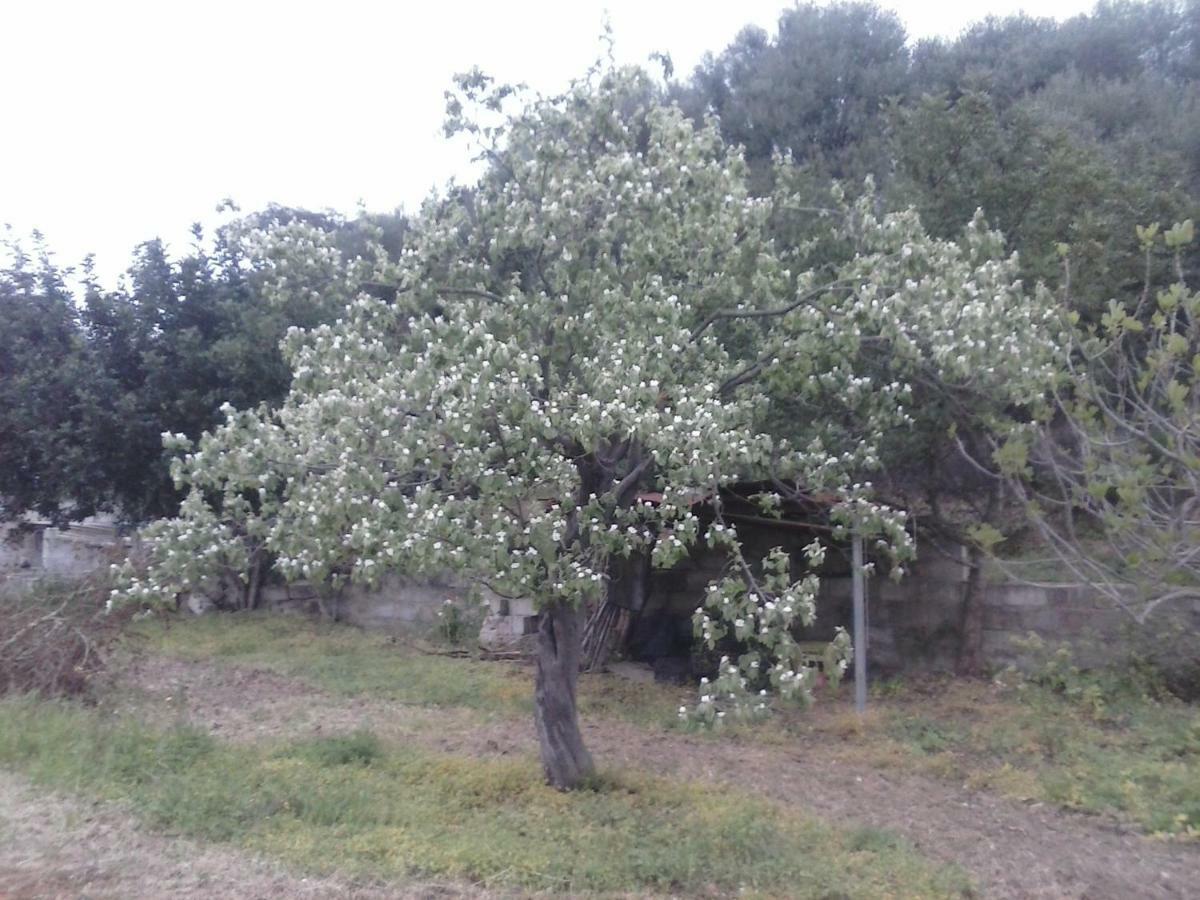 Agriturismo "Pirastreri" Siniscola Eksteriør billede