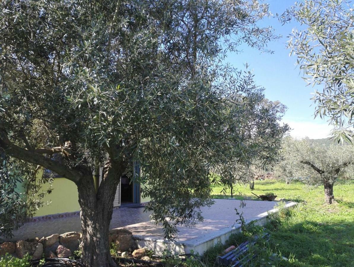 Agriturismo "Pirastreri" Siniscola Eksteriør billede